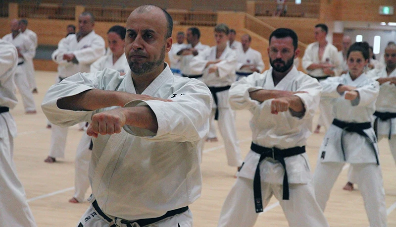 Cours de karaté adultes à strasbourg (+16 ans) au dojo Bujinkai Strasbourg