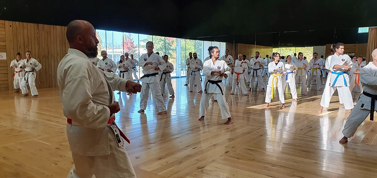 Stage commun Karaté et danse — Présentiel