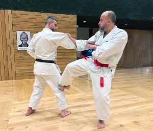 Cours Karaté (Tous)