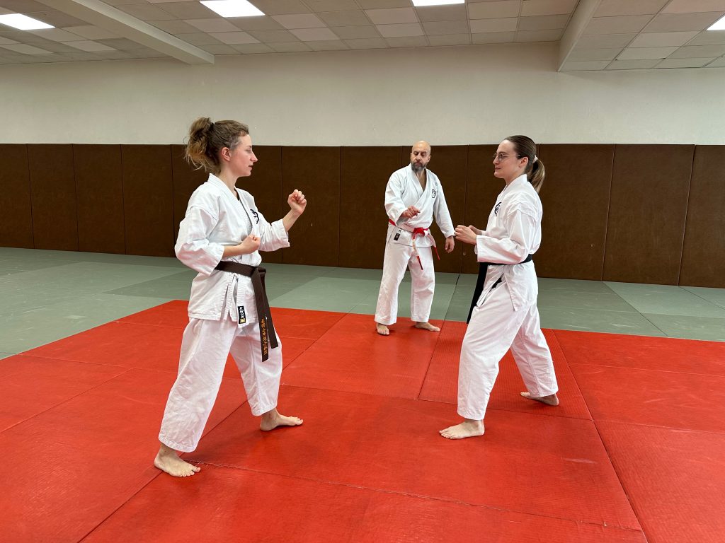 IMG_0259 - Comment s'initier à la self defense - Enseignement unique à Strasbourg Pratiquantes Bujinkai Strasbourg - Exercice Dojo Kumite