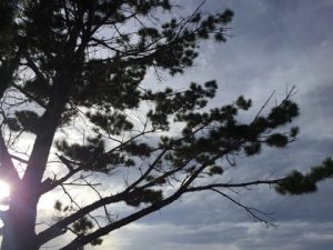 Cours en ligne Tanju