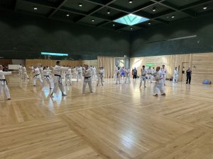 Stage Karaté pour tous