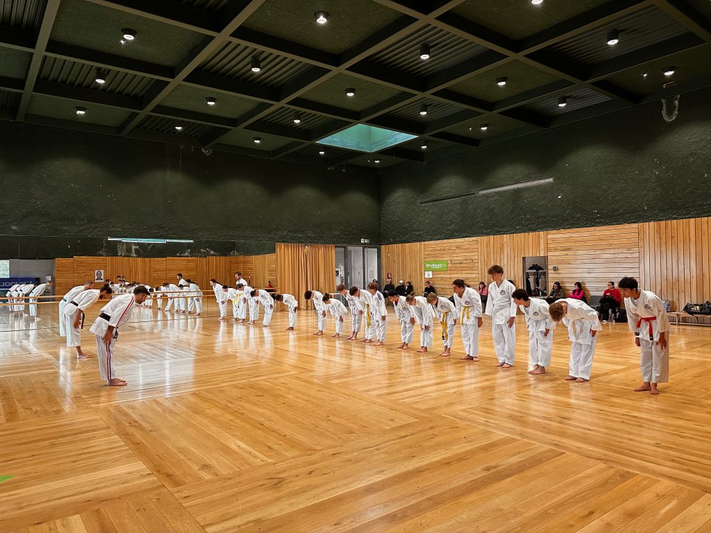 Elèves du groupe ados et adultes de la Bujinkai Strasbourg.