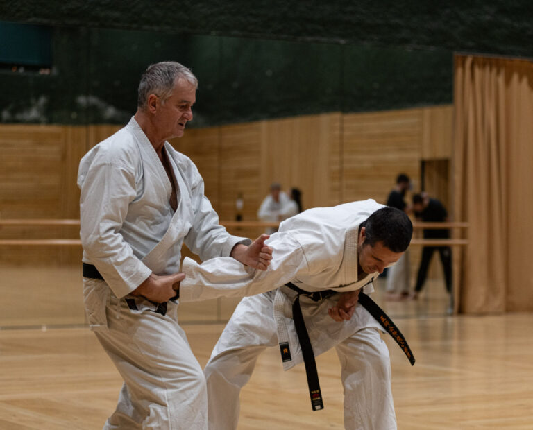 Cours de self-défense à strasbourg pour adultes — efficace et réaliste au dojo Bujinkai Strasbourg